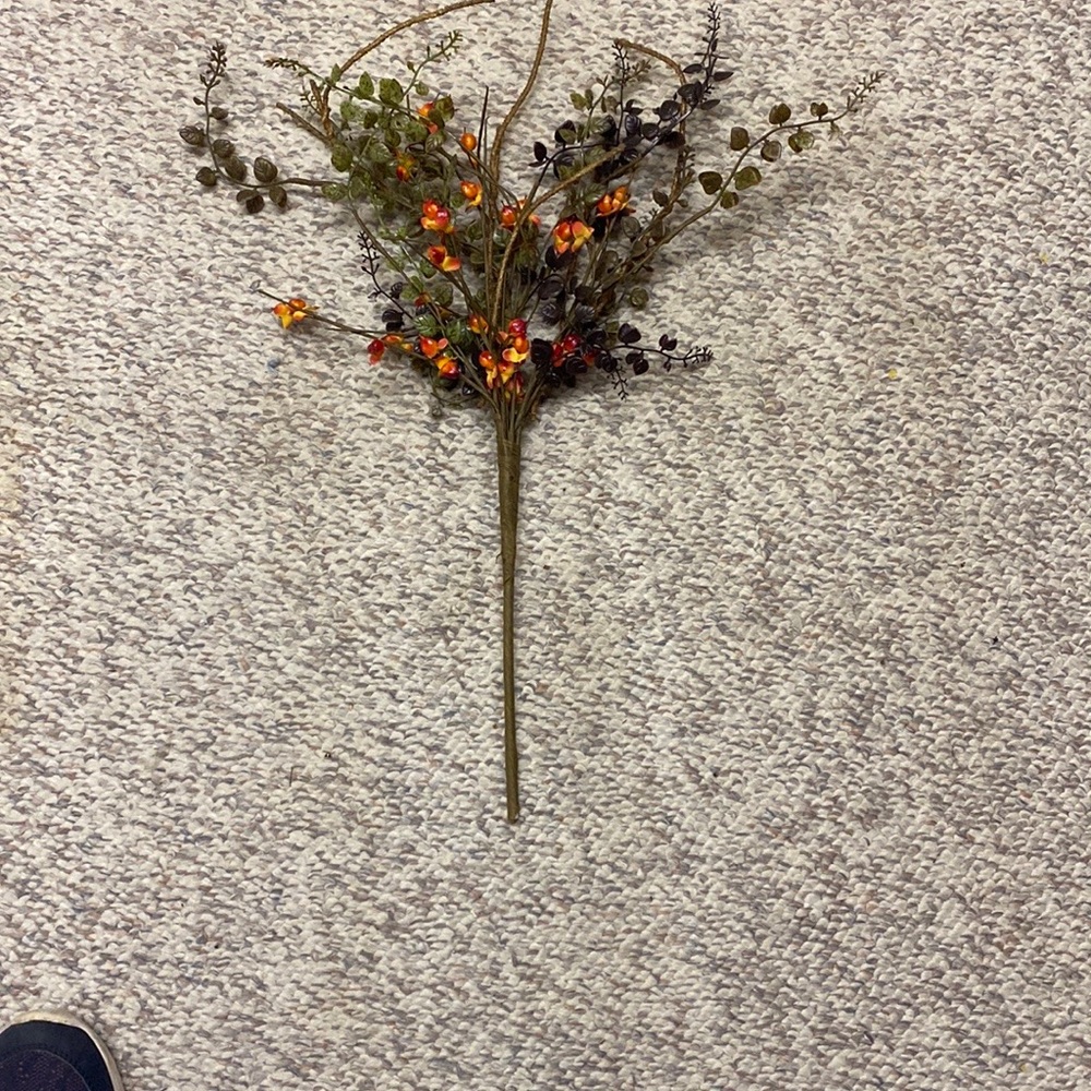 Autumn  Bittersweet Floral